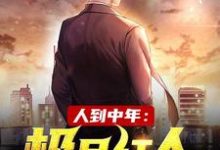 赵腾金露儿小说的结局在哪可以看,人到中年:极品红人免费阅读完结版-推文官