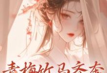 青梅竹马齐奔朝堂夺权势无弹窗来娣宋天最新章节列表-推文官