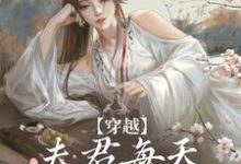 沈夏多夫最新章节穿越:夫君每天都在争风吃醋免费阅读-推文官