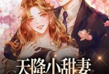 小说天降小甜妻:偏执大佬抱着哄主角徐蓁沈凌风免费阅读-推文官
