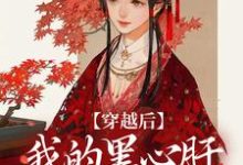 穿越后,我的黑心肝相公太撩人完结版李希赵承泽免费阅读大结局-推文官