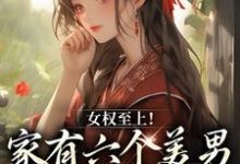 言卿小说女权至上家有六个美男小说资源求分享,言卿小说女权至上家有六个美男言卿在线阅读-推文官
