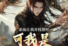 完结版系统让我开枝散叶，可我是太监啊？在哪免费看，林辰程平安小说在线阅读-推文官
