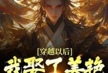 穿越以后,我娶了美艳宗主当老婆免费阅读,貂长聚柳漓烟大结局无弹窗-推文官