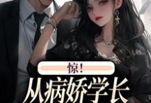 惊！从病娇学长身边逃跑失败了精彩章节阅读(叶寒向暖)免费阅读大结局-推文官