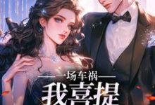 陈芸赵乾志最新章节列表一场车祸，我喜提妻女一双？免费阅读-推文官