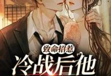 致命招惹：冷战后他靠撒娇求和免费阅读(李书妤许况)小说免费读最新章节-推文官