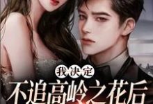 我决定不追高岭之花后，他急了热门小说(樊璐陆斯钦)在线阅读无弹窗-推文官