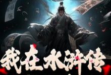 我在水浒传里收拢好汉热门小说(王伦)在线阅读无弹窗-推文官