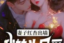 妻子红杏出墙，我转头另爱免费阅读，石昊水婉婷大结局无弹窗-推文官