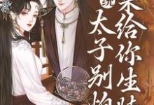 系统：太子别怕，我来给你生娃了小说资源求分享，系统：太子别怕，我来给你生娃了许锦意在线阅读-推文官