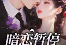 暗恋暂停，开始恋爱（宋霜序贺庭洲）最新章节免费在线阅读-推文官