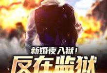 新婚夜入狱!反在监狱成大佬精彩章节在线免费阅读(秦风林婉儿)-推文官