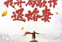 小说穿到修仙界,我开局敲诈退婚妻主角顾风免费阅读-推文官