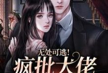 姜亦乔小说免费阅读最新章节列表,无处可逃!疯批大佬强制爱小说在线看-推文官