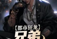 亲哥出狱，带我起飞有错吗精彩章节阅读(宋渔向影)免费阅读大结局-推文官