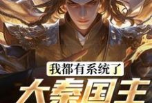 完结版我都有系统了，大秦国主还装啥在哪免费看，叶天北冥子小说在线阅读-推文官