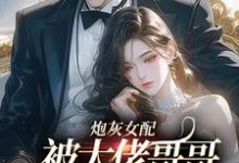 主角是袁央央的小说炮灰女配被大佬哥哥团宠后野翻了在哪免费看-推文官