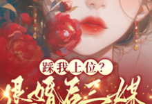 主人公是阮月见萧樾的小说踩我上位?退婚后三媒六聘嫁他哥免费阅读-推文官