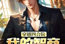 穿越四合院:我的智商震惊高层完结版易鑫免费阅读大结局-推文官