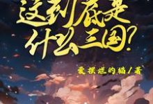 这到底是什么三国完结版陈默免费阅读大结局-推文官