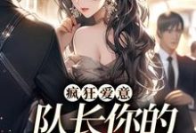 小说疯狂爱意：队长你的媳妇跑路啦主角秦凛杨婂免费阅读-推文官