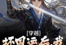 完结版穿越：坏国运后，我要飞升成仙在哪免费看，李天唐含雪小说在线阅读-推文官