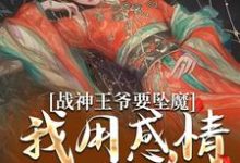 战神王爷要坠魔,我用感情拯救他在线看,苏婉清陆少卿小说大结局在哪免费看-推文官