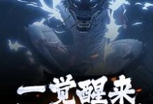 女尊人夫：被逆徒强推的白衣剑仙无弹窗叶尘渊江月寒最新章节列表-推文官