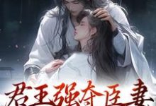 君王强夺臣妻,只为惊鸿一面热门小说(陆妧夕尉迟璟)在线阅读无弹窗-推文官