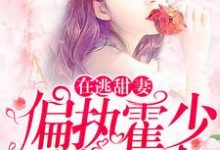 在逃甜妻:偏执霍少放肆宠(苏绵绵)完结版免费阅读-推文官