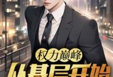 权力巅峰：从基层开始步步高升热门小说(林漫)在线阅读无弹窗-推文官