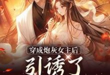 小说被逼婚言情文男主后,穿越女她杀疯了(沈毓灵权明赫)最新章节在哪看-推文官