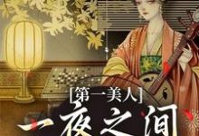 第一美人,一夜之间沦为笑柄免费阅读(沐青婼楚云珩)小说免费读最新章节-推文官