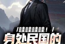 哇哇哇哇!身处民国的我变大佬无弹窗苏墨最新章节列表-推文官