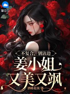 精彩章节阅读不复合，别沾边，姜小姐又美又飒(顾衍泽苏辞心)免费小说在线看
