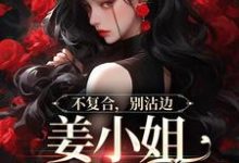 不复合,别沾边,姜小姐又美又飒无弹窗顾衍泽苏辞心最新章节列表-推文官