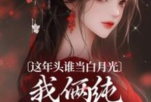 这年头谁当白月光,我俩纯纯走剧情精彩章节阅读(温沅李昭)免费阅读大结局-推文官