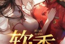 小说不是大哥，你兜这大一圈就为娶我主角宋翊免费阅读-推文官