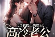 当我提出离婚后,高冷老公哭红了眼免费阅读,詹挽月况承止大结局无弹窗-推文官