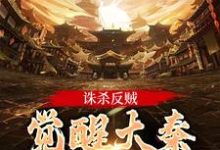 嬴启最新章节诛杀反贼，觉醒大秦千年气运免费阅读-推文官