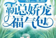 陆北城江如意在线阅读，一胎三宝后，霸总娇宠福气包小说完结版章节-推文官