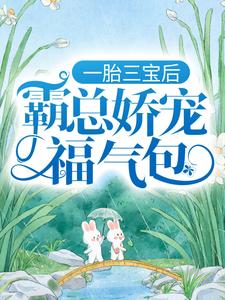 陆北城江如意小说的结局在哪可以看，一胎三宝后，霸总娇宠福气包免费阅读完结版