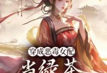 胡说，她才不是坏女人！（乔挽颜）最新章节免费阅读-推文官
