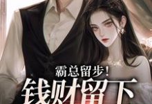 主人公是白挽盛云客的小说霸总留步!钱财留下爱带走免费阅读-推文官
