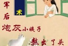 求助这本姐随军后,炮灰小姨子熬出了头小说在哪里可以看完结版-推文官