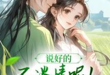 风潇潇陆舟渊小说免费阅读最新章节列表,说好的不谈情呢!王爷请自制小说在线看-推文官