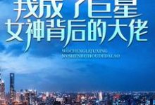 记忆苏醒,我成了巨星女神背后的大佬(林舟苏青梅)最新章节免费阅读-推文官