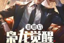 退婚后，枭龙觉醒，镇压当世（主角楚风甄姬）完结版免费阅读-推文官
