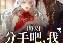 求助这本追妻:分手吧,我不哄你了小说在哪里可以看完结版-推文官